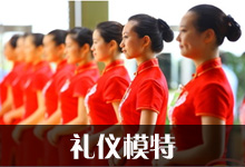 ģ�ضY�x����(w��)